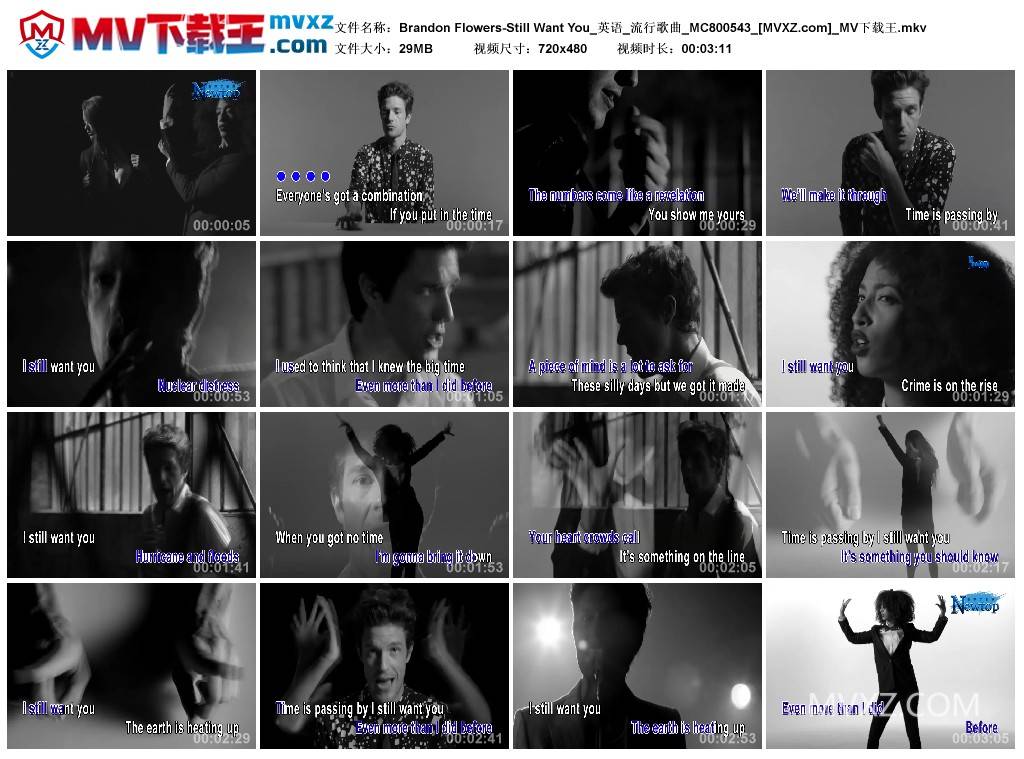 Brandon Flowers-Still Want You_英语_流行歌曲_MC800543